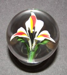 Glass Flower Class